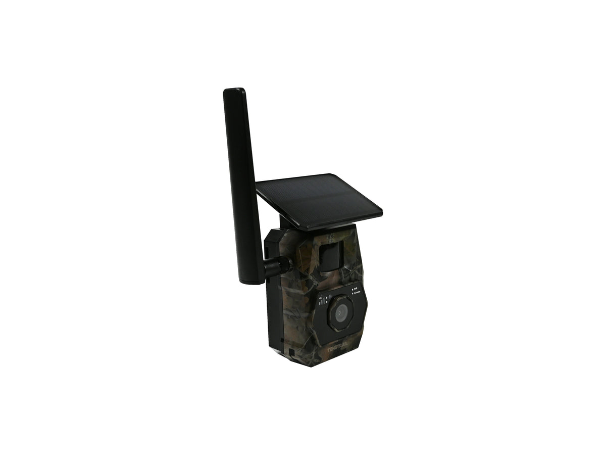 TenoTrail EasyLive 4G camera trap